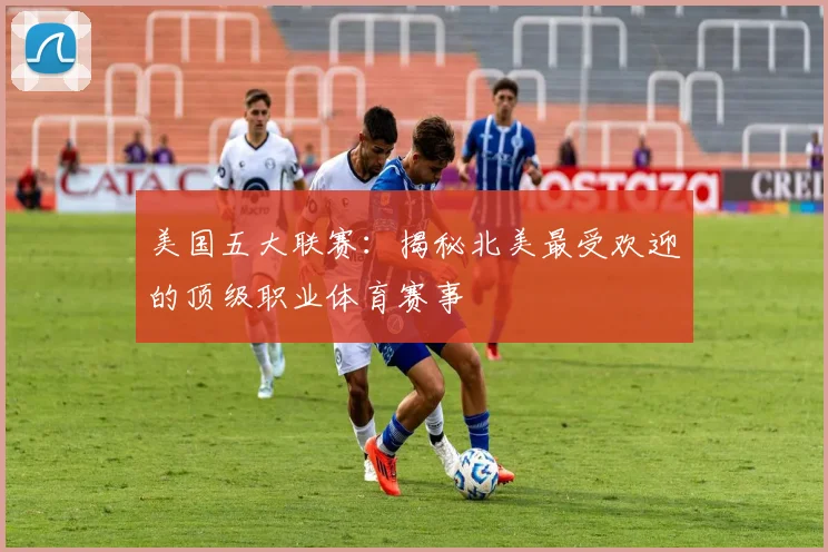 美国五大联赛：揭秘北美最受欢迎的顶级职业体育赛事